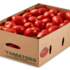 ROMA TOMATOES | HALF BOX (12LBS)